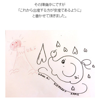 エレファントアップル？