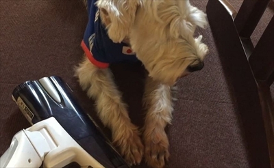 ハッピーの得意技パラダイス