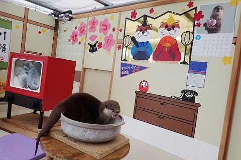 サンシャイン水族館