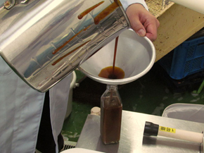 ねとらぼソース