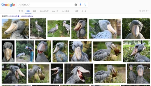 けものフレンズ 検索汚染 サジェスト サーバル ハシビロコウ