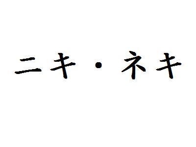 金欠ニキ Amazon | キンカン ニキパ！R 60枚 | キンカン | 部分パック 通販