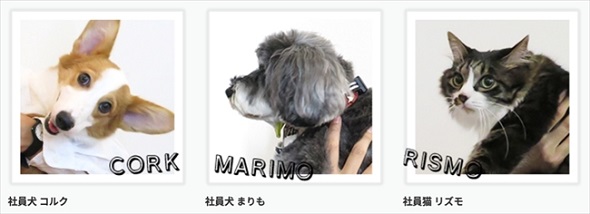 シロップ　ペット福利厚生