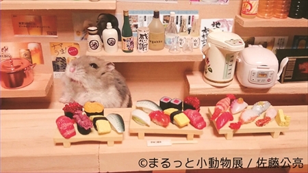まるっと小動物展