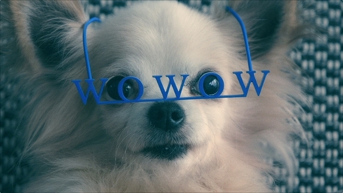 わんにゃん専用WOWOWメガネ