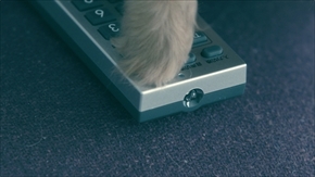 わんにゃん専用WOWOWメガネ