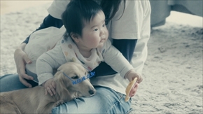 わんにゃん専用WOWOWメガネ