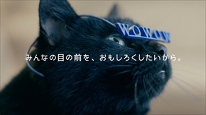 わんにゃん専用WOWOWメガネ