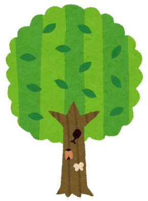 東北大学 色名 言葉 表現 研究 青々とした緑