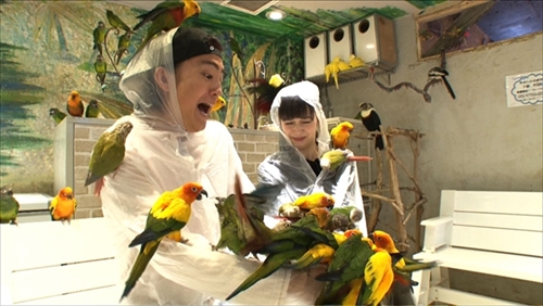 生き物にサンキュー