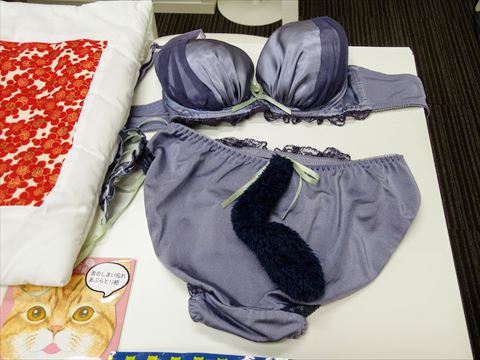 猫の下着