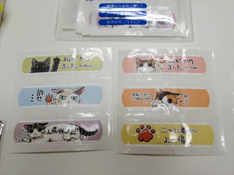 にゃんそうこう