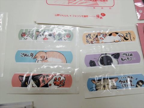 にゃんそうこう