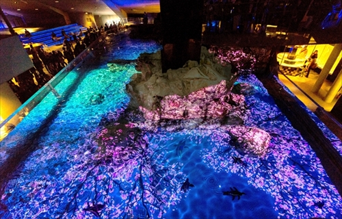 すみだ水族館ペンギンピクニック