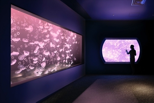 すみだ水族館ペンギンピクニック