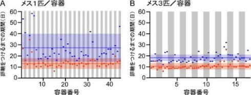 ゴキブリ 単為生殖 メス 3匹 生殖促進
