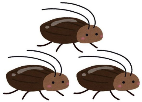 ゴキブリ 単為生殖 メス 3匹 生殖促進