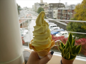 首都高PAツアー