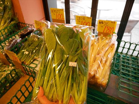 首都高PAツアー