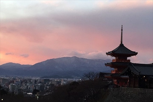 トリップアドバイザー日本の展望スポット