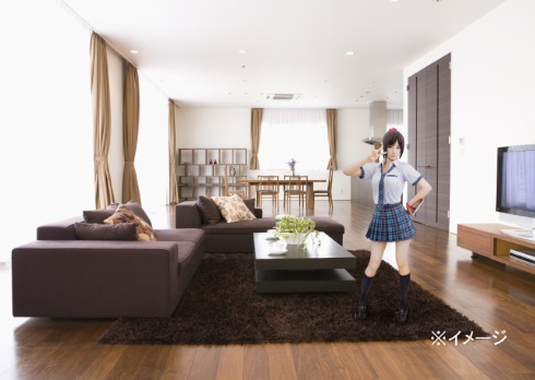 サマーレッスン 宮本ひかり PlayStation VR 等身大フィギュア