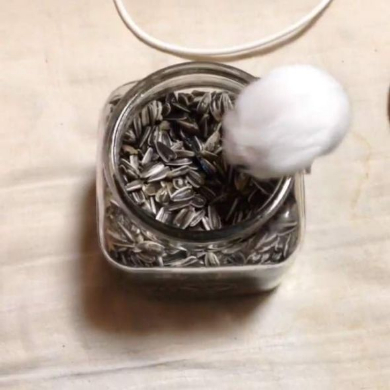 ハムスター おやつ 瓶 入りたい ひまわりの種 毛玉