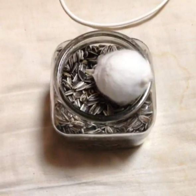 ハムスター おやつ 瓶 入りたい ひまわりの種 毛玉