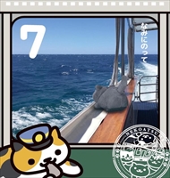 一番くじ　ねこあつめ