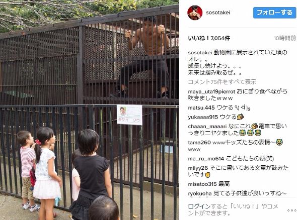 武井壮　動物園