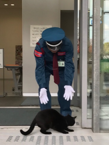 尾道市立美術館 招き猫亭コレクション 猫まみれ展 侵入