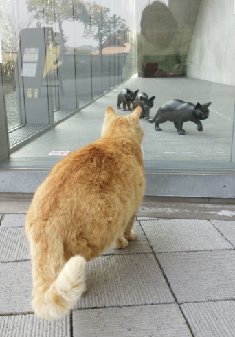 尾道市立美術館 招き猫亭コレクション 猫まみれ展 侵入