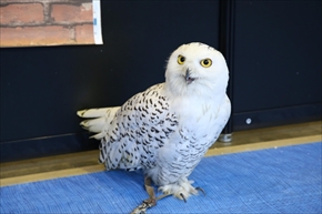 EXO TERRA 神戸レプタイルズワールド