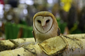 EXO TERRA 神戸レプタイルズワールド