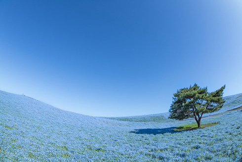 ねっと用語「インスタ映え」