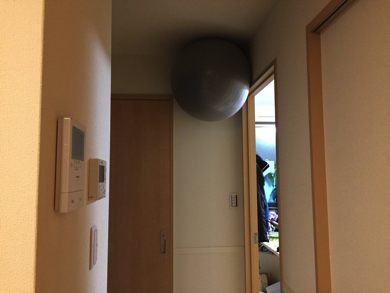 バランスボール