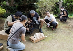 映画「ねこあつめの家」