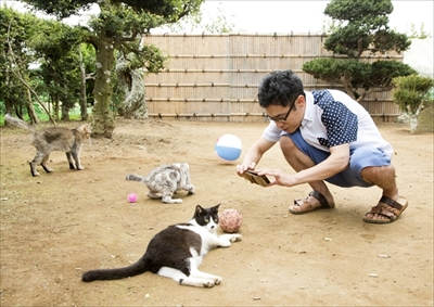 映画「ねこあつめの家」