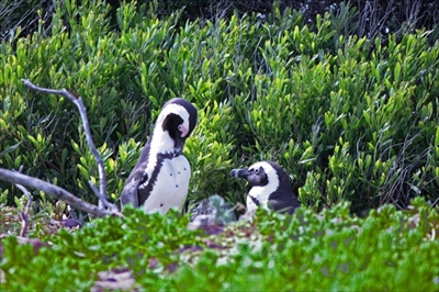 サンシャイン水族館マリンガーデン