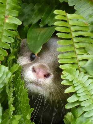 サンシャイン水族館マリンガーデン