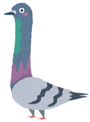 鳩 美脚 BeautyPlus