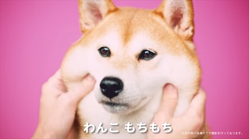 ハイチュウプレミアムもちもち動画