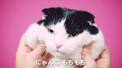 ハイチュウプレミアムもちもち動画