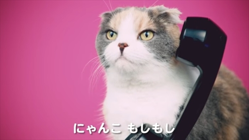 ハイチュウプレミアムもちもち動画