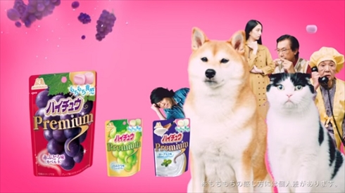 ハイチュウプレミアムもちもち動画