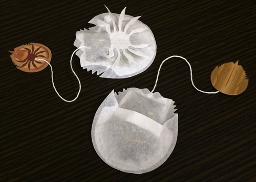 カブトガニのティーバッグ