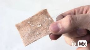 ペット 抜け毛 腕時計