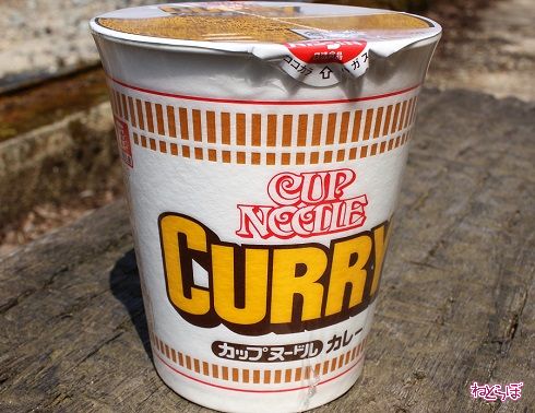 福知山線廃線敷