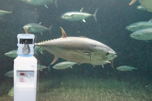 ワンニャンまとめます！　2017年エイプリルフールまとめ（動物編）