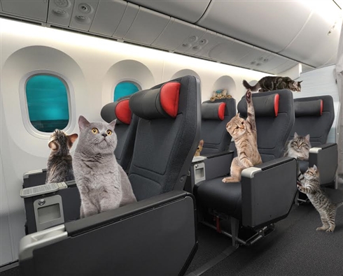 ワンニャンまとめます！　2017年エイプリルフールまとめ（動物編）