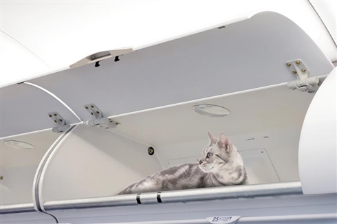 ワンニャンまとめます！　2017年エイプリルフールまとめ（動物編）